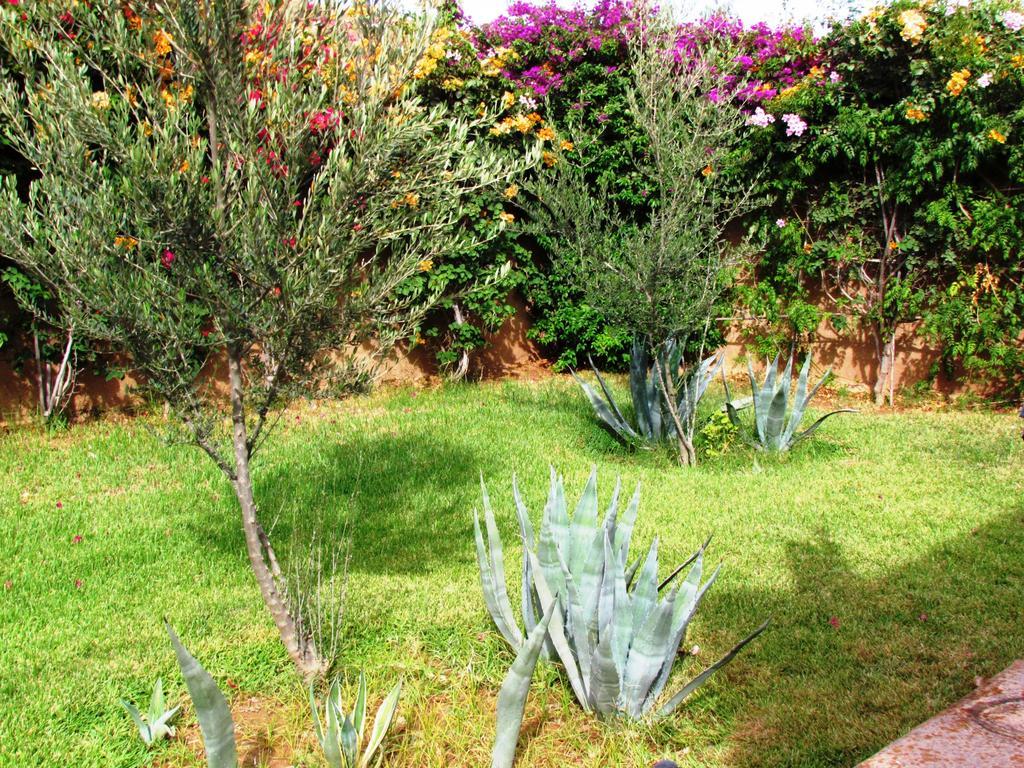 Le Jardin Des Epices Otel Taroudant Dış mekan fotoğraf