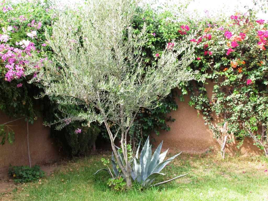 Le Jardin Des Epices Otel Taroudant Dış mekan fotoğraf