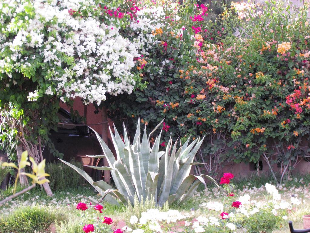 Le Jardin Des Epices Otel Taroudant Dış mekan fotoğraf